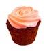 Pink Velvet